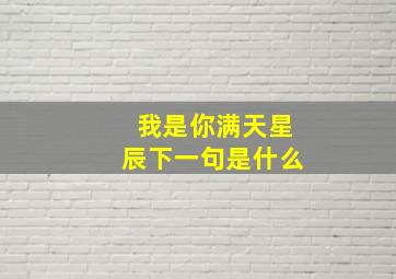 我是你满天星辰下一句是什么