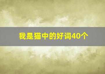 我是猫中的好词40个