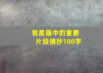 我是猫中的重要片段摘抄100字