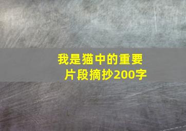 我是猫中的重要片段摘抄200字