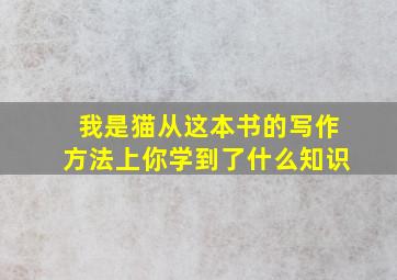 我是猫从这本书的写作方法上你学到了什么知识