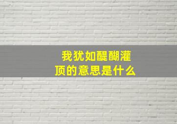 我犹如醍醐灌顶的意思是什么