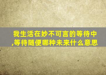 我生活在妙不可言的等待中,等待随便哪种未来什么意思