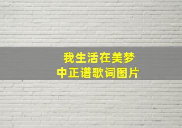 我生活在美梦中正谱歌词图片