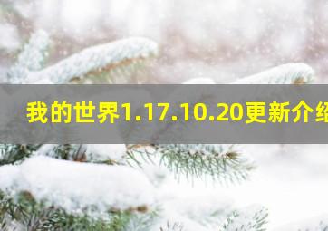 我的世界1.17.10.20更新介绍