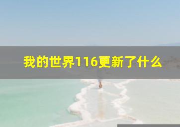 我的世界116更新了什么