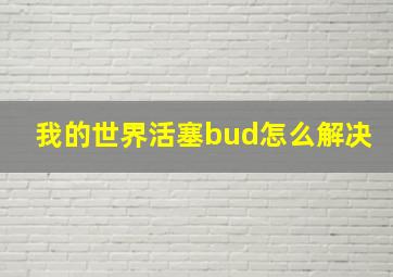 我的世界活塞bud怎么解决