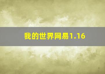 我的世界网易1.16