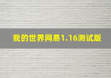 我的世界网易1.16测试版