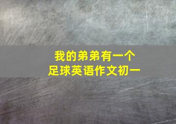 我的弟弟有一个足球英语作文初一