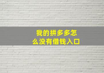 我的拼多多怎么没有借钱入口