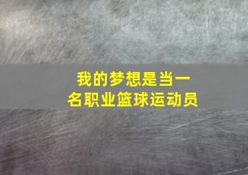 我的梦想是当一名职业篮球运动员