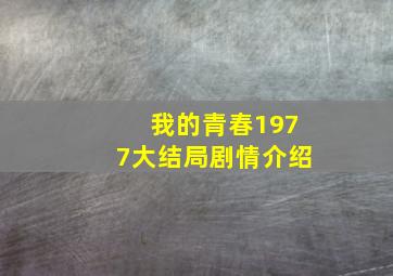 我的青春1977大结局剧情介绍