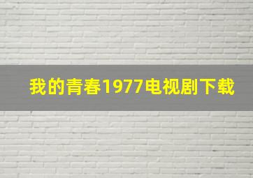 我的青春1977电视剧下载