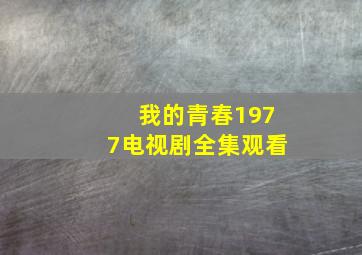 我的青春1977电视剧全集观看