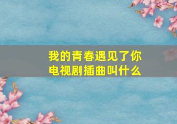 我的青春遇见了你电视剧插曲叫什么