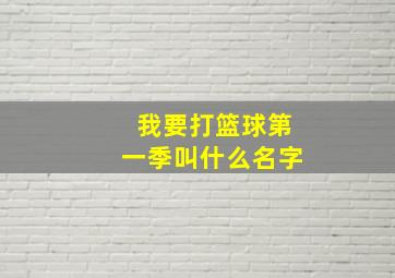 我要打篮球第一季叫什么名字