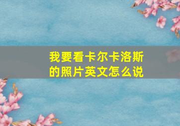 我要看卡尔卡洛斯的照片英文怎么说