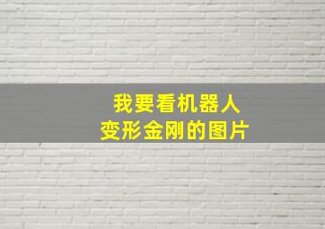 我要看机器人变形金刚的图片