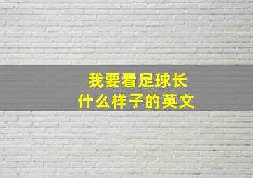 我要看足球长什么样子的英文