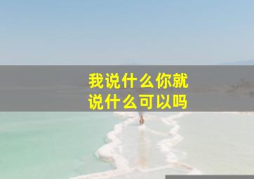 我说什么你就说什么可以吗