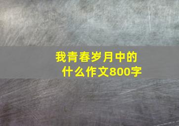 我青春岁月中的什么作文800字