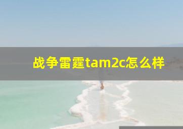 战争雷霆tam2c怎么样