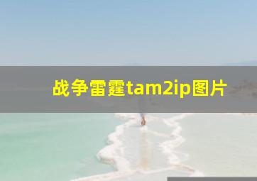 战争雷霆tam2ip图片