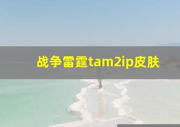 战争雷霆tam2ip皮肤