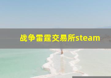 战争雷霆交易所steam