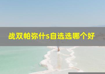 战双帕弥什s自选选哪个好