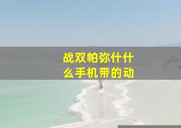 战双帕弥什什么手机带的动