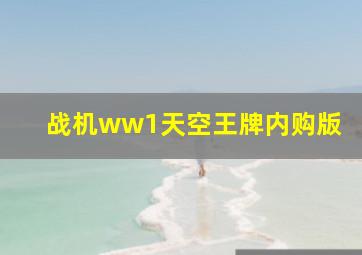 战机ww1天空王牌内购版