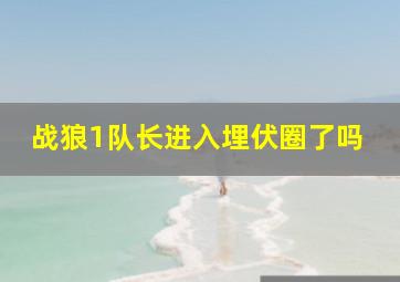 战狼1队长进入埋伏圈了吗