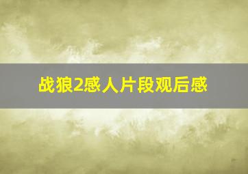 战狼2感人片段观后感