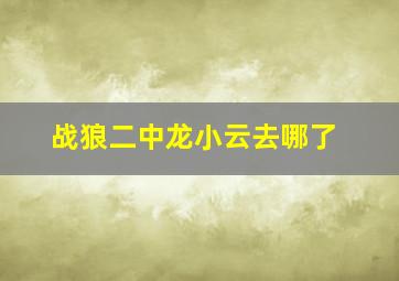 战狼二中龙小云去哪了