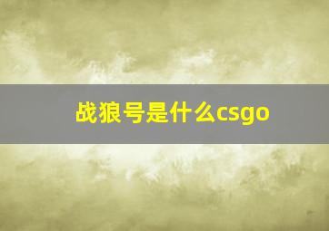 战狼号是什么csgo