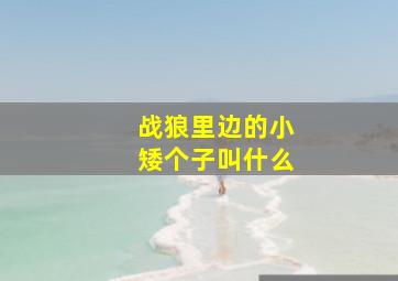 战狼里边的小矮个子叫什么