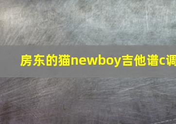 房东的猫newboy吉他谱c调