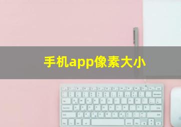 手机app像素大小