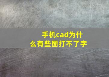 手机cad为什么有些图打不了字