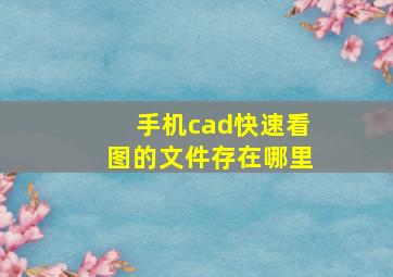 手机cad快速看图的文件存在哪里