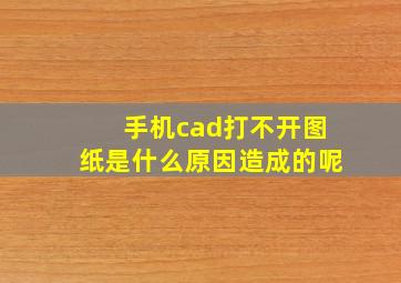 手机cad打不开图纸是什么原因造成的呢