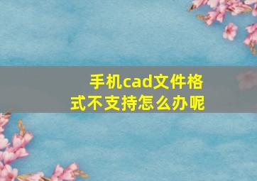 手机cad文件格式不支持怎么办呢