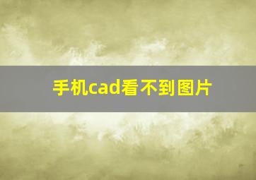 手机cad看不到图片