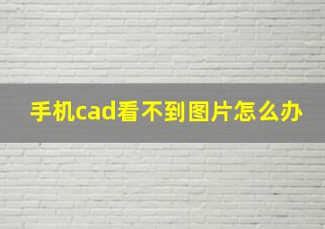 手机cad看不到图片怎么办