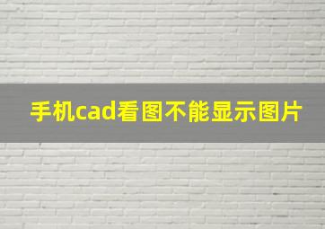 手机cad看图不能显示图片