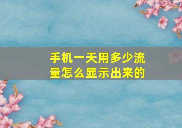 手机一天用多少流量怎么显示出来的