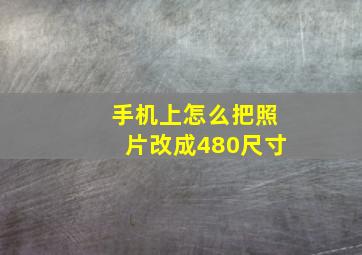 手机上怎么把照片改成480尺寸