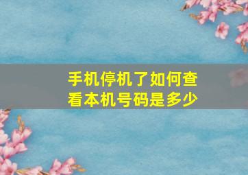 手机停机了如何查看本机号码是多少